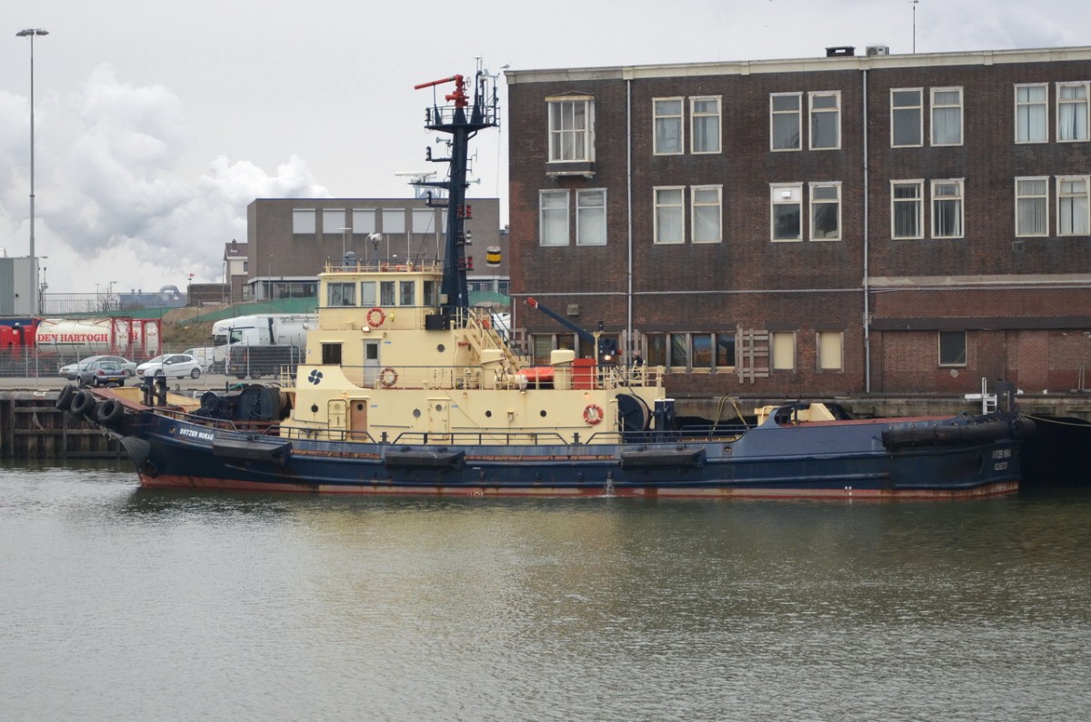 SVITZER MORAG   Schlepper  IJmuiden / NL  14.03.2015