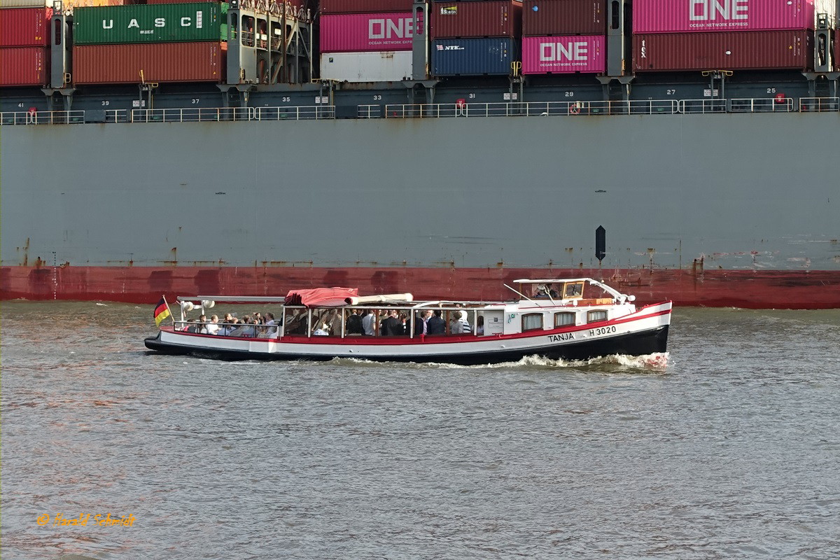 TANJA (ENI 05103730) (H3020) am 14.8.2019, Hamburg,  Elbe Höhe Neumühlen /
Rundfahrtbarkasse / Lüa 18,04 m, B 3,2 m, Tg 1,34 m / 1 Diesel, 133 kW (180 PS)  / 70 Fahrgäste / gebaut 1937 bei Heinrich Grube, Hamburg, Umbau 2011 zur sinksicheren Barkasse  / Eigner: Hermann Hansen, Hamburg /
