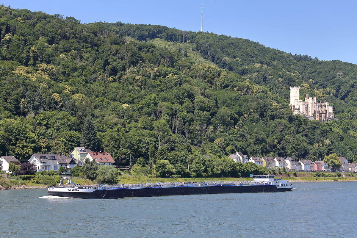 Tanker Servia bei Koblenz-Stolzenfels am Mittelrhein. 19.06.2025