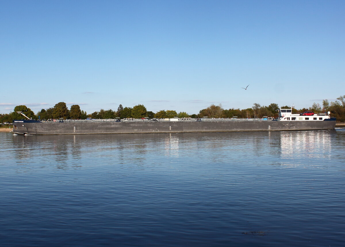 Tankmotorschiff GRIFFIOEN, ENI 04813060, BJ 2017, Flagge DEU, talwärts auf dem Rhein bei Nierstein am 22.09.2022.