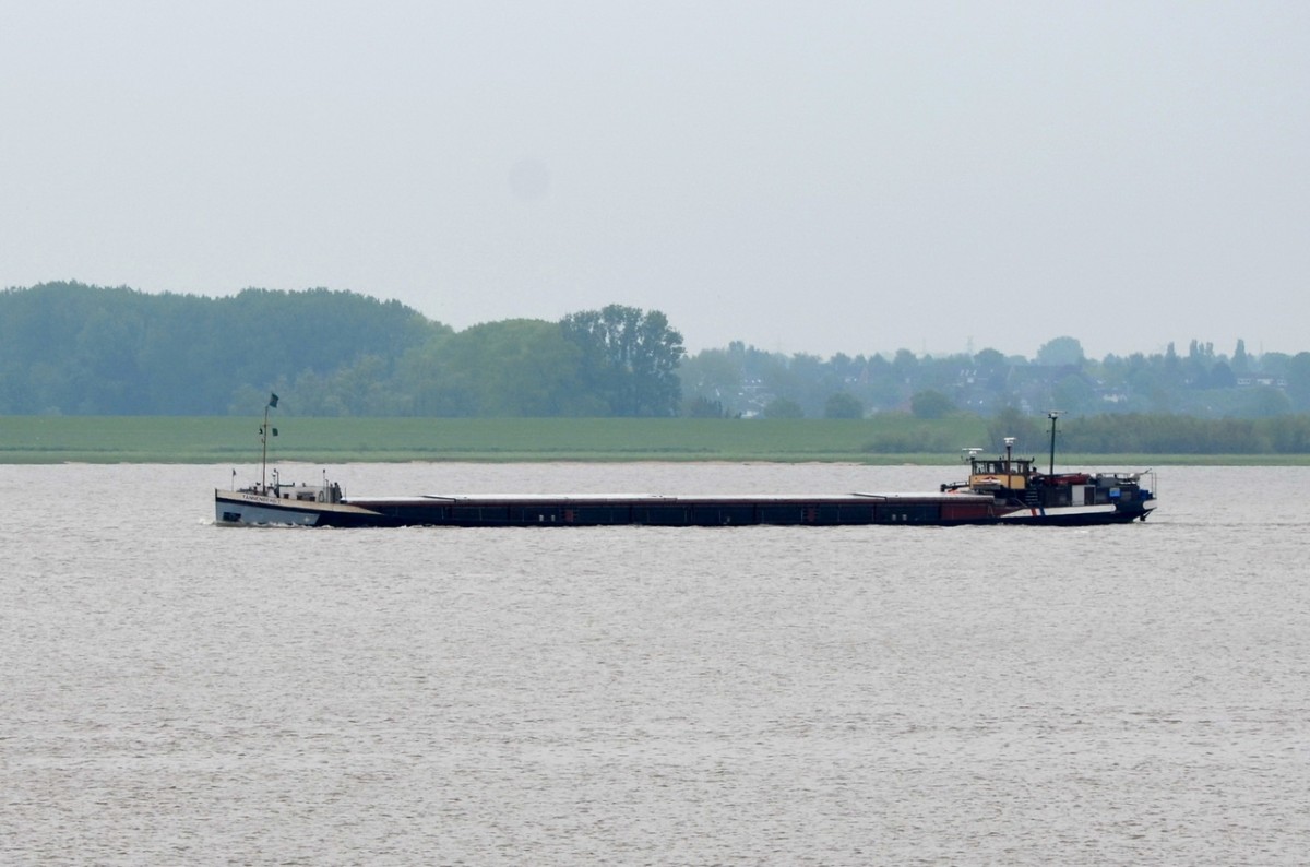 TANNENBERG  1    Frachtschiff    Lühe  07.05.2014