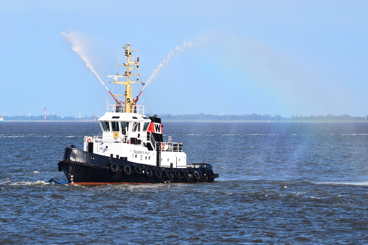 TAUCHER O. WULF  3 , Schlepper , IMO 5419244 , Baujahr 1963 ,  28.57 x 8 m , 29.05.2020 , Cuxhaven