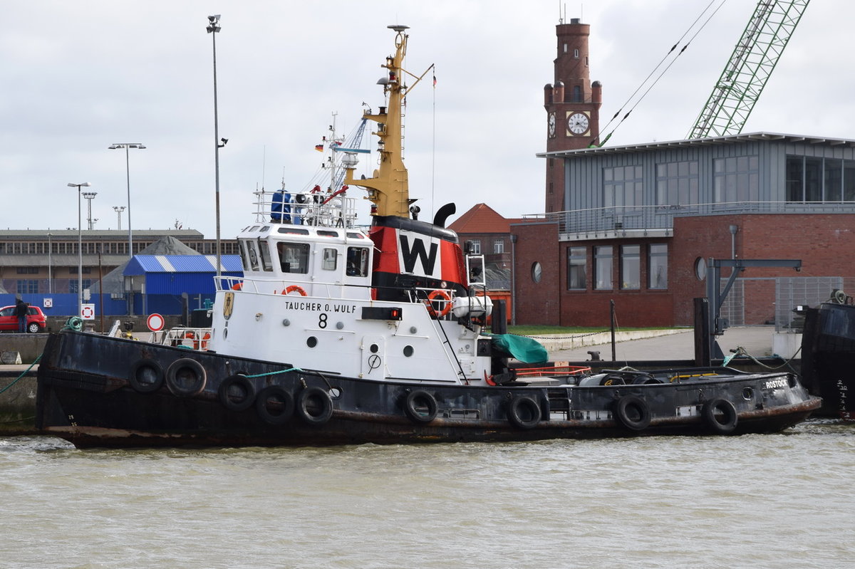 TAUCHER O. WULF 8 , Schlepper , 23 × 7m , 18.03.2017 Cuxhaven