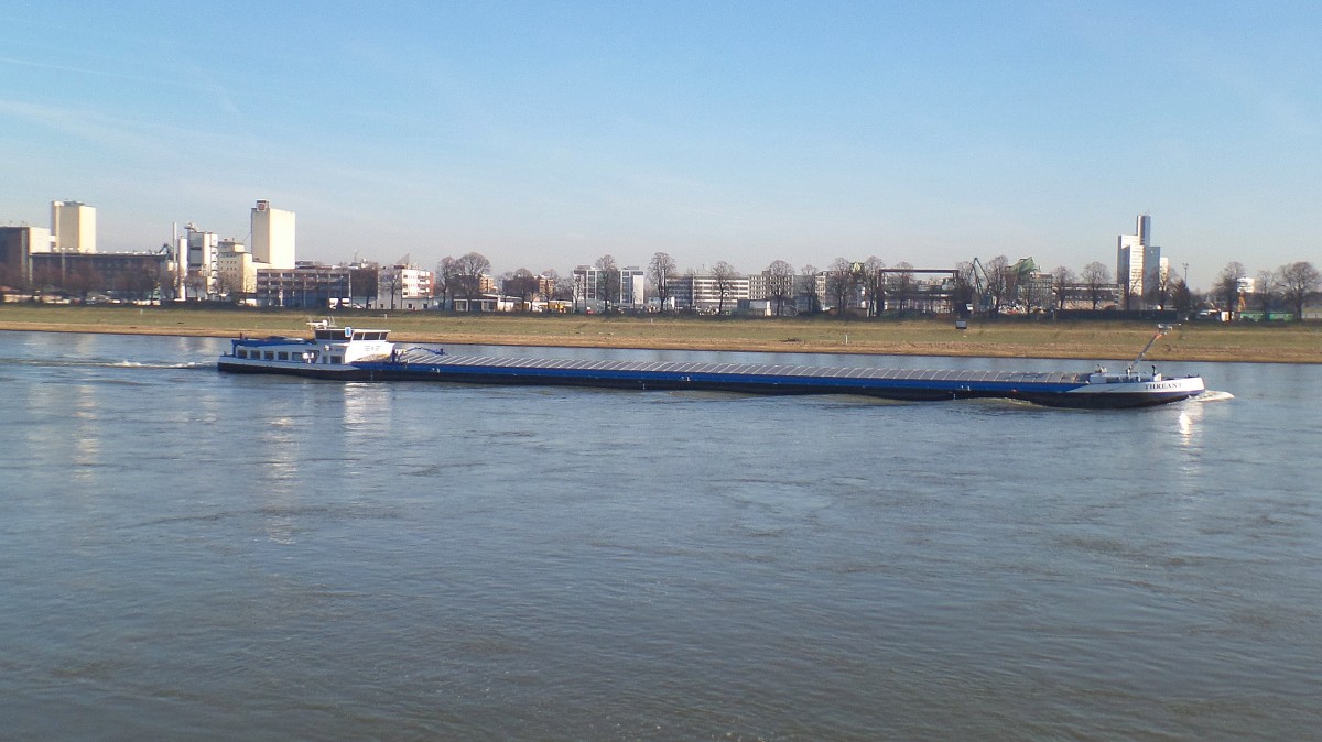 THREANT (ENI 02330640) am 7.2.2015 zu Berg auf dem Rhein in Köln /
GMS / Lüa 109,9 m, B 11,45 m, Tg 4 m / 3650 t / 1 Caterpillar-Diesel, 1425 kW, 1938 PS / 2008 in Rumänien + NL /
