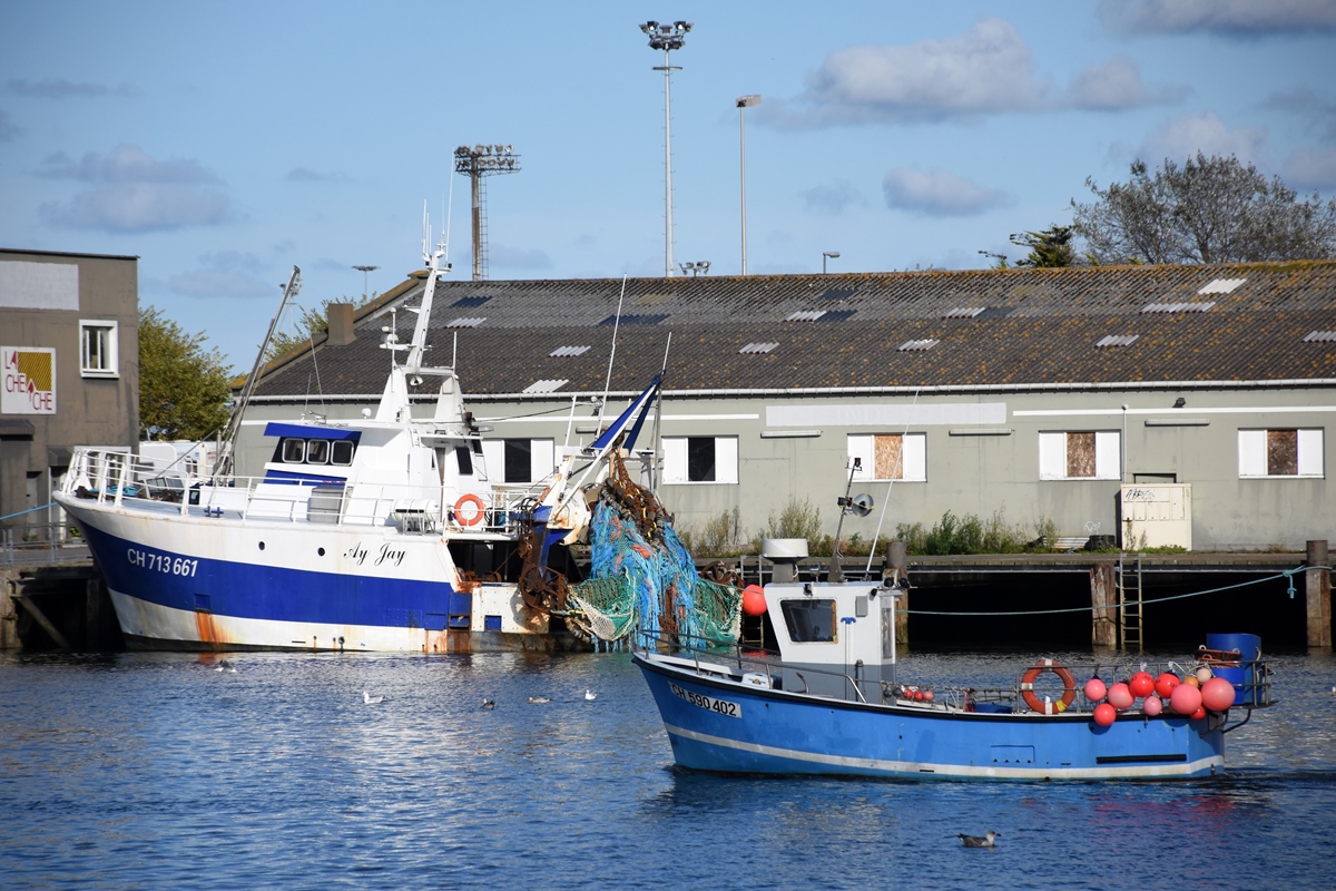 Tiefsee- und Schleppnetz-Trawler (Chalutier de fond & dragues) CH.713661 « AY-JAY » (Bj. 1988; ex « l’EMERAUDE 1 » SM.713661 / « MICHELE GEOFFRAY » DP.713661 / « l’EMERAUDE » CN.713661) und Reusenfischer (Caseyeur) CH.590402 « PILOU » (Bj. 1994). Gesehen in Cherbourg. (2017-09-15)
