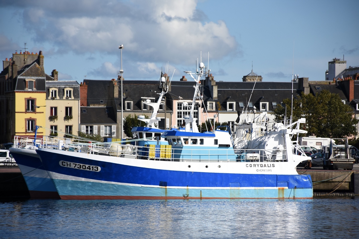 Tiefsee- und Schleppnetz-Trawler (Chalutier de fond & dragues) CH.730413 « CORYDALIS » (Bj. 1989; ex GV.730413). Gesehen in Cherbourg. (2017-09-15)