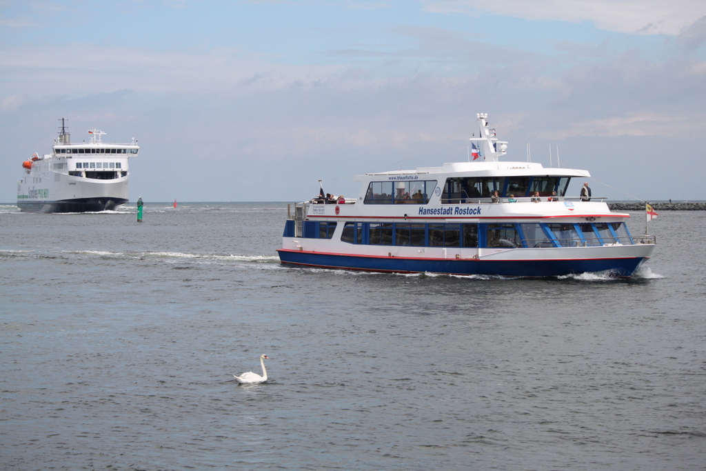 Tierische Begrung fr die Hansestadt Rostock und Scandlines Hybrid Ferry Copenhagen am 25.06.2017 in Warnemnde 