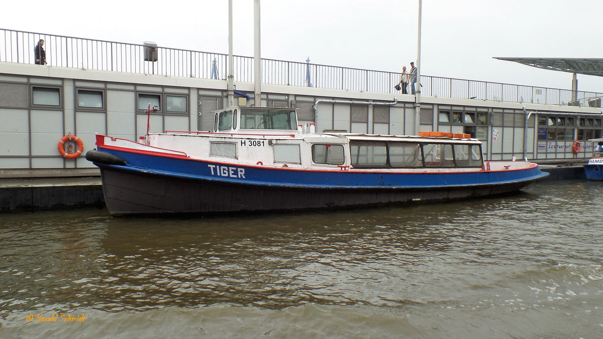 TIGER (H 3081) am 16.7.2017, Hamburg, Elbe, Achterkante Landungsbrücken / 
Ex-Namen: Jollenführer 14 (1948-1972, HADAG, B 18414), SCHWINGE (ab 1972, Stader Schiffswerft) /
Barkasse / Lüa 17,61 m, B 4,12 m / 1 Diesel, 9,5 kn / max. 63 Pass. / gebaut 1948 bei Grube, Hamburg /
