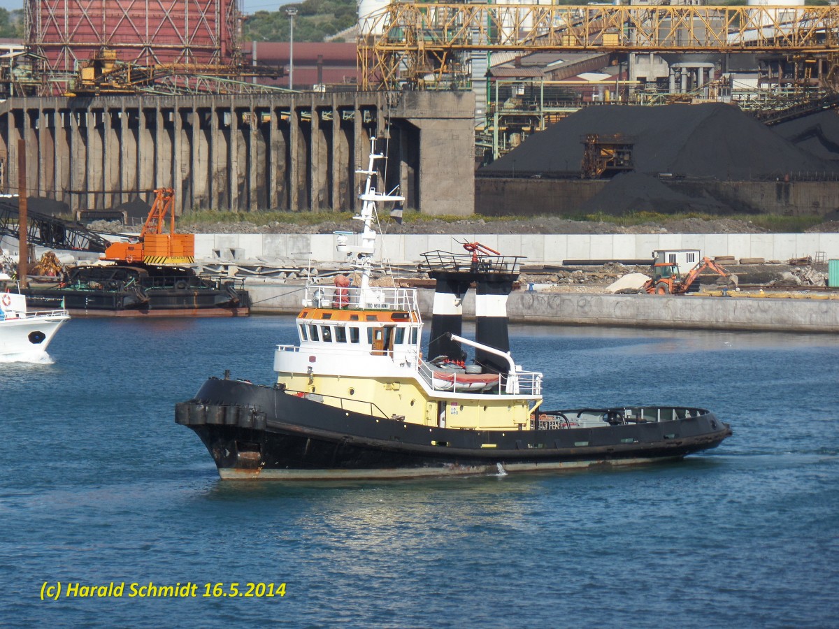 TITO NERI NONO (IMO 8715974) am 16.5.2014 im Hafen von Piombino /
Schlepper / BRZ 197,8 / Lüa 31,27 m, B 8,52 m, Tg 3,7 m /  
1988 bei C.N. Cooperativa Metallurgica G. Tommasi- Ancona, Italien / Eigner: Fratelli Neri S.p.A., Livorno /
