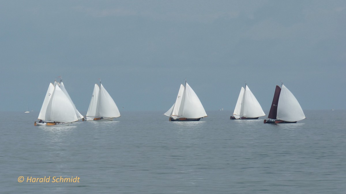 Tjalk-Flottille am 7.9.2014 auf dem Ijsselmeer