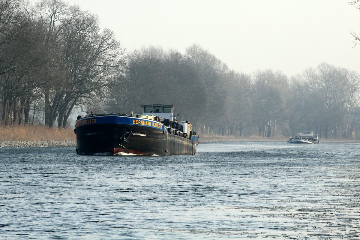 TMS Bernhard Burmester (08043015 , 80 x 9m) am 10.02.2017 im Sacrow-Paretzer-Kanal (UHW) Höhe km 30 auf Talfahrt. Dahinter das GMS Janina (04030910).