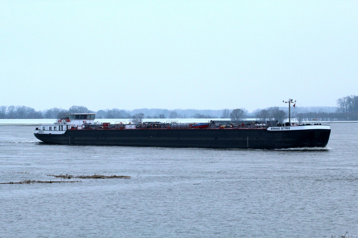 TMS Bernhard Dettmer (04806430 , 100 x 9,50m) am 22.01.2015 auf Elb-Talfahrt bei Cumlosen.