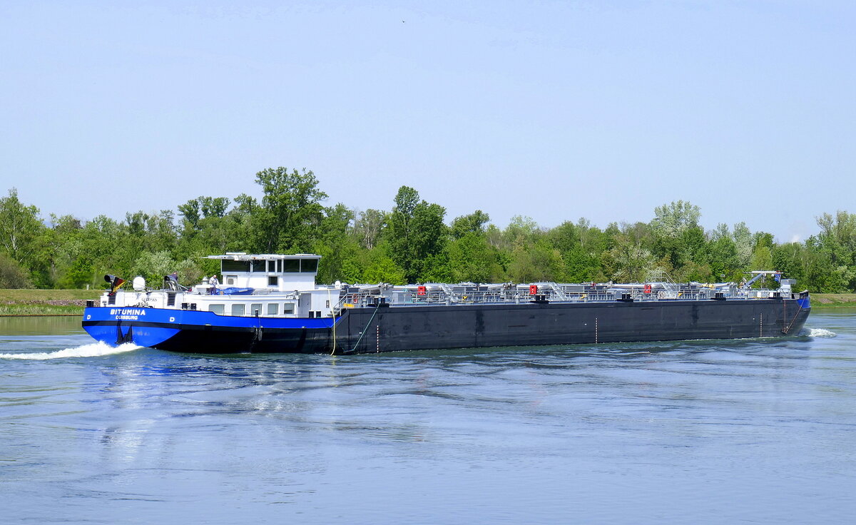 TMS Bitumina, Bitumentankschiff, Heckansicht, auf der Fahrt rheinabwärts nördlich von Breisach am Rhein, April 2024