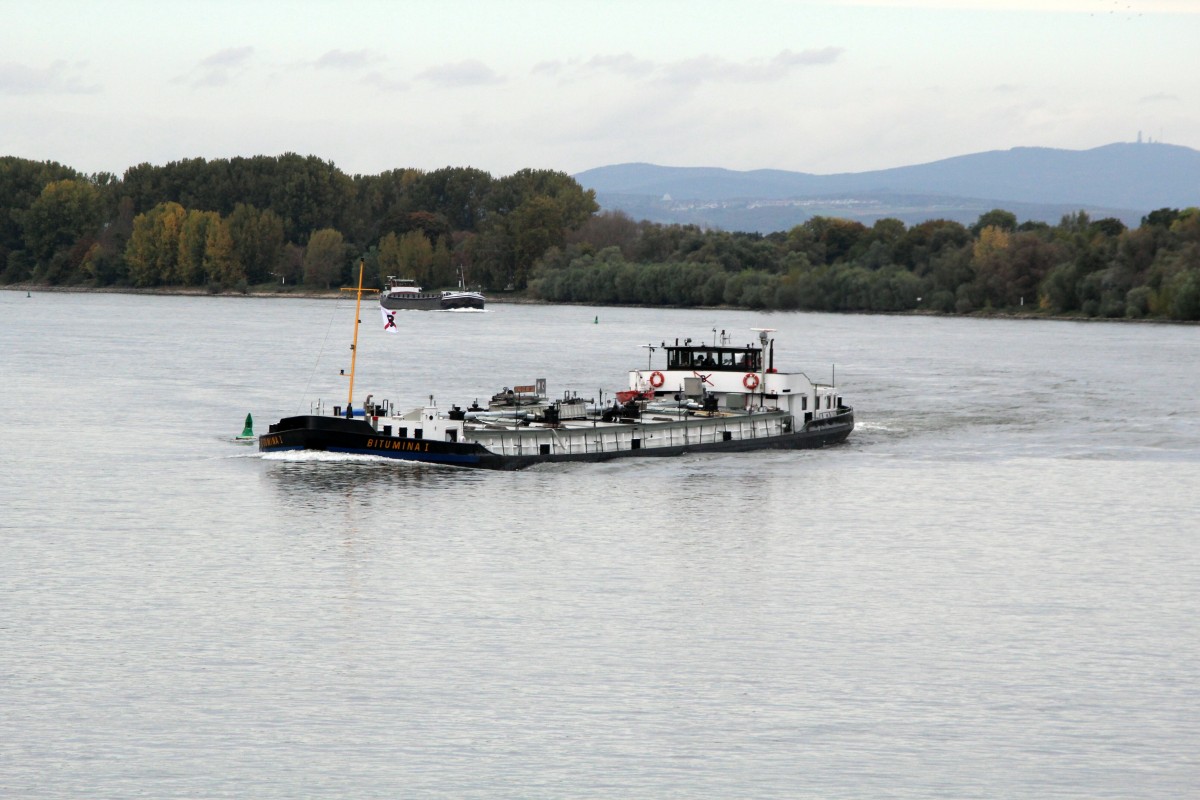 TMS Bitumina I (04014950 , 80 x 9,50m) am 20.10.2014 bei Rhein-km 486 auf Bergfahrt.