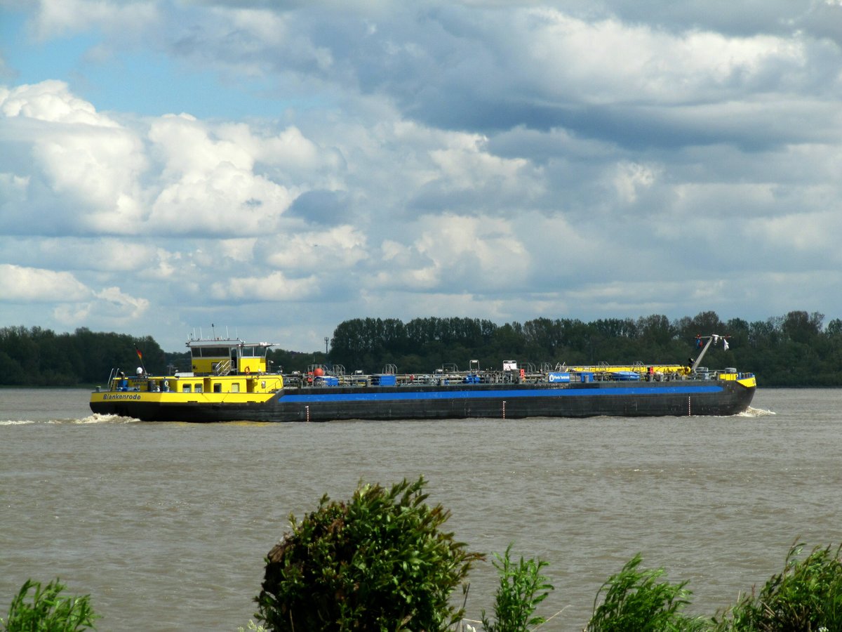 TMS Blankenrode (04807760 , 99,90 x 9,50m) am 04.05.2019 auf Elbe-Bergfahrt zw. Grünendeich und Wedel.