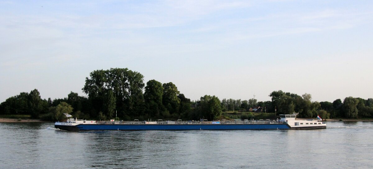 TMS  BLUE FATIMA  (02339514 , 110 x 11,45m) am 12.06.2025 auf  RHEIN-Bergfahrt bei Rees.