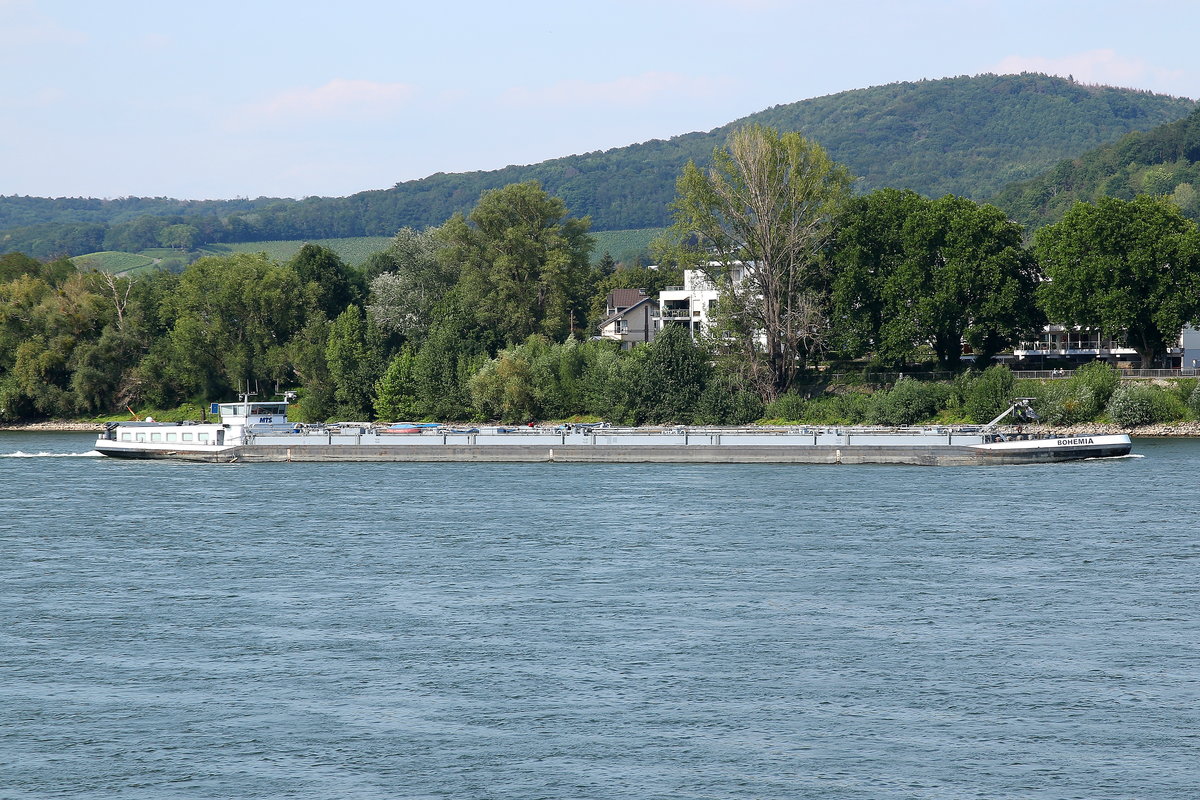 TMS BOHEMIA, ENI 04804100, Wörth (Main)/D. Auf Bergfahrt auf dem Rhein bei Königswinter am 22.07.2020.