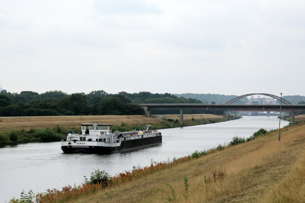 TMS Buran (04808420 , 84,74 x 9,50m) am 19.07.2019 im Elbe-Seitenkanl Höhe km 109 auf Bergfahrt v.d. Schiffshebewerk Scharnebeck.