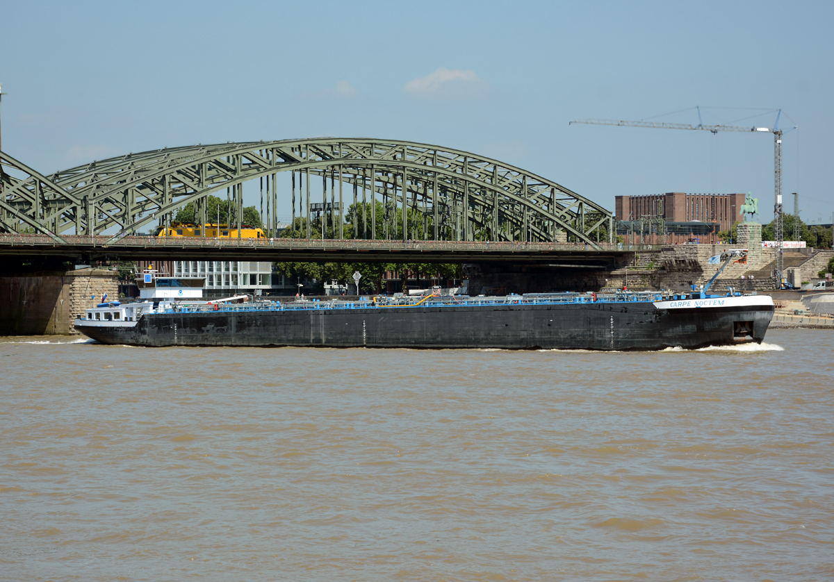 TMS  Carpe Noctem  kurz hinter der Hohenzollernbrücke in Köln - 31.07.2014