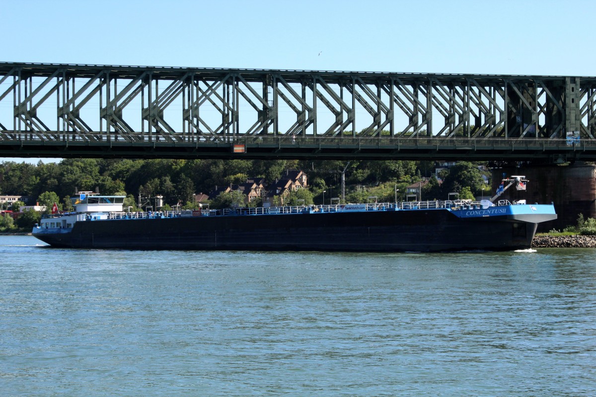 TMS  CONCENTUS II (07001840 , 110 x 11,40m) am 10.07.2015 auf dem Rhein bei Mainz / an der Mainmündung zu Tal.