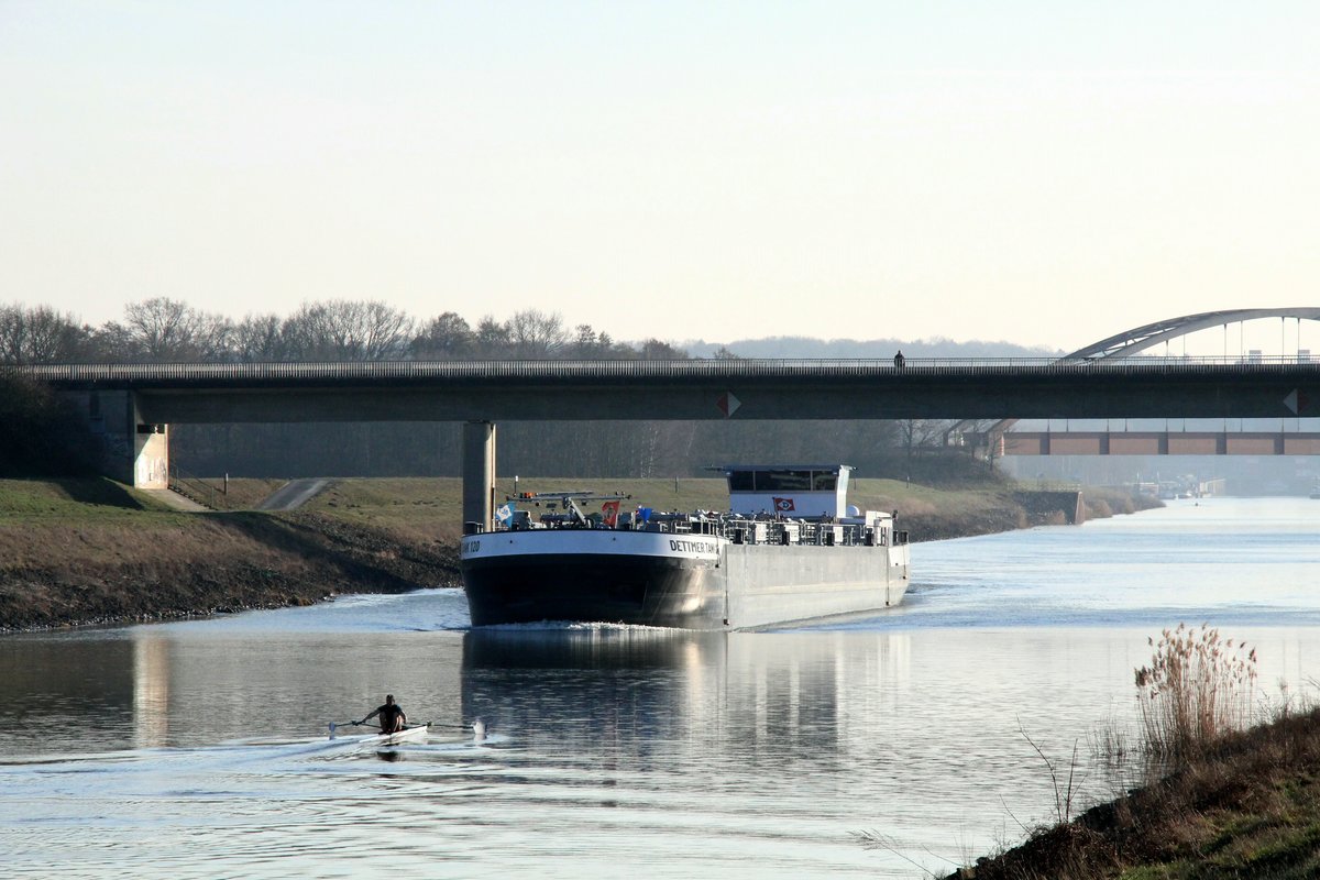 TMS Dettmer Tank 120 (02336967 , 95,95 x 9,60m) am 26.02.2019 im Elbe-Seitenkanal Höhe km 109 auf Talfahrt zur Elbe.