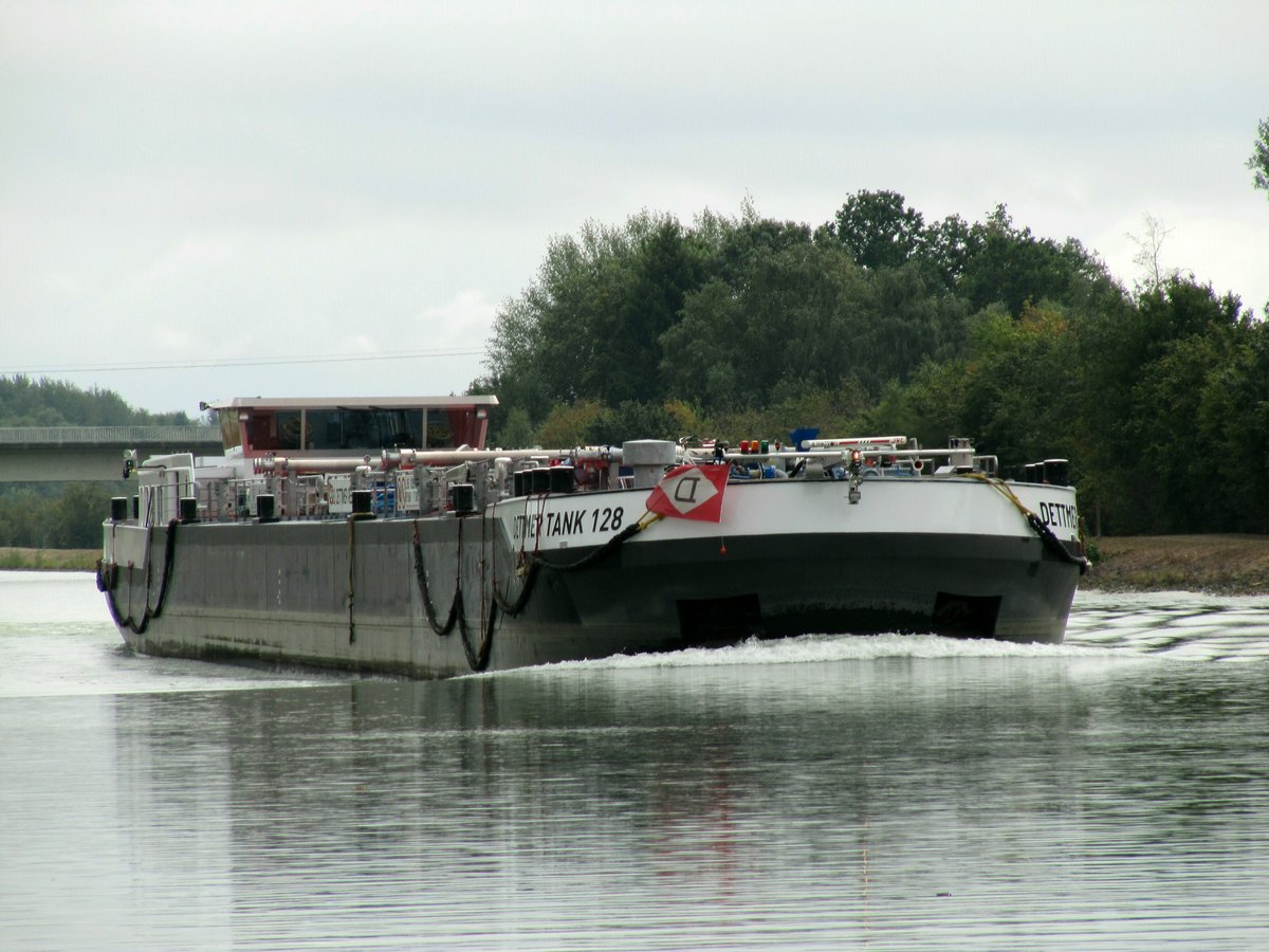 TMS Dettmer Tank 128 (02337434 , 85 x 9,60m) am 23.09.2019 im Elbe-Seitenkanal Höhe Liegestelle Weißes Moor auf Talfahrt.