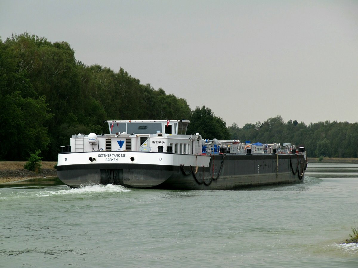 TMS Dettmer Tank 128 (02337434 , 85 x 9,60m) am 23.09.2019 im Elbe-Seitenkanal zw. Weisses Moor und Transvaal auf Talfahrt.