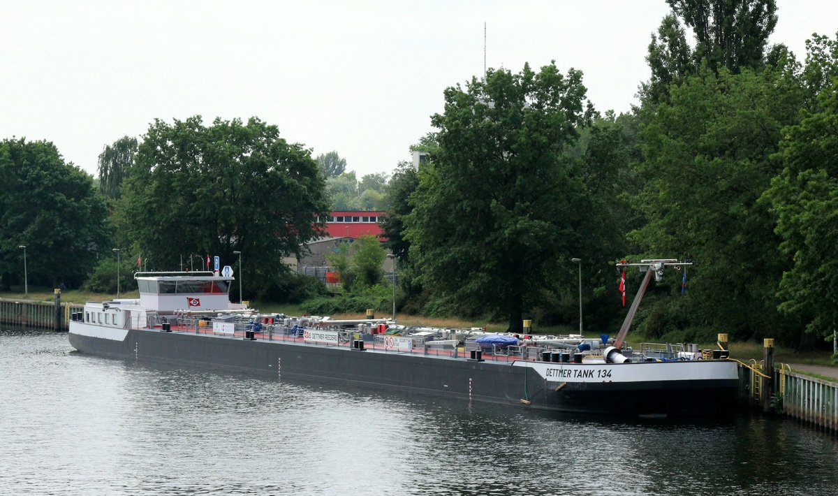 TMS Dettmer Tank 134 (02338171 , 86 x 9,60m) am 11.06.2019 im Tankschiffliegehafen in Berlin-Spandau.