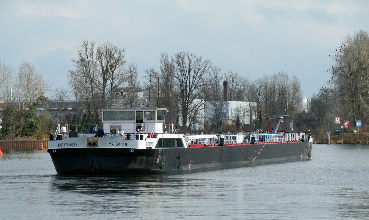 TMS  DETTMER TANK 135  (04811700 , 84,99 x 9,57m) am 25.02.2025 in Berlin in der  SPREE-Mündung. Dort drehen die TMS und fahren über Steuer (Rückwärts) in den Ruhlebener Altarm zum Löschen.