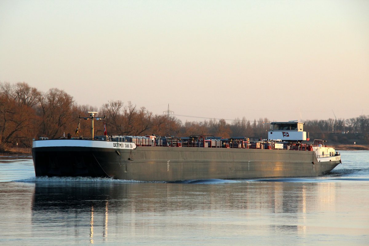 TMS Dettmer Tank 136 (04009090 , 100 x 9,50m) am 18.02.2019 auf der Elbe zu Tal vor Storkau.