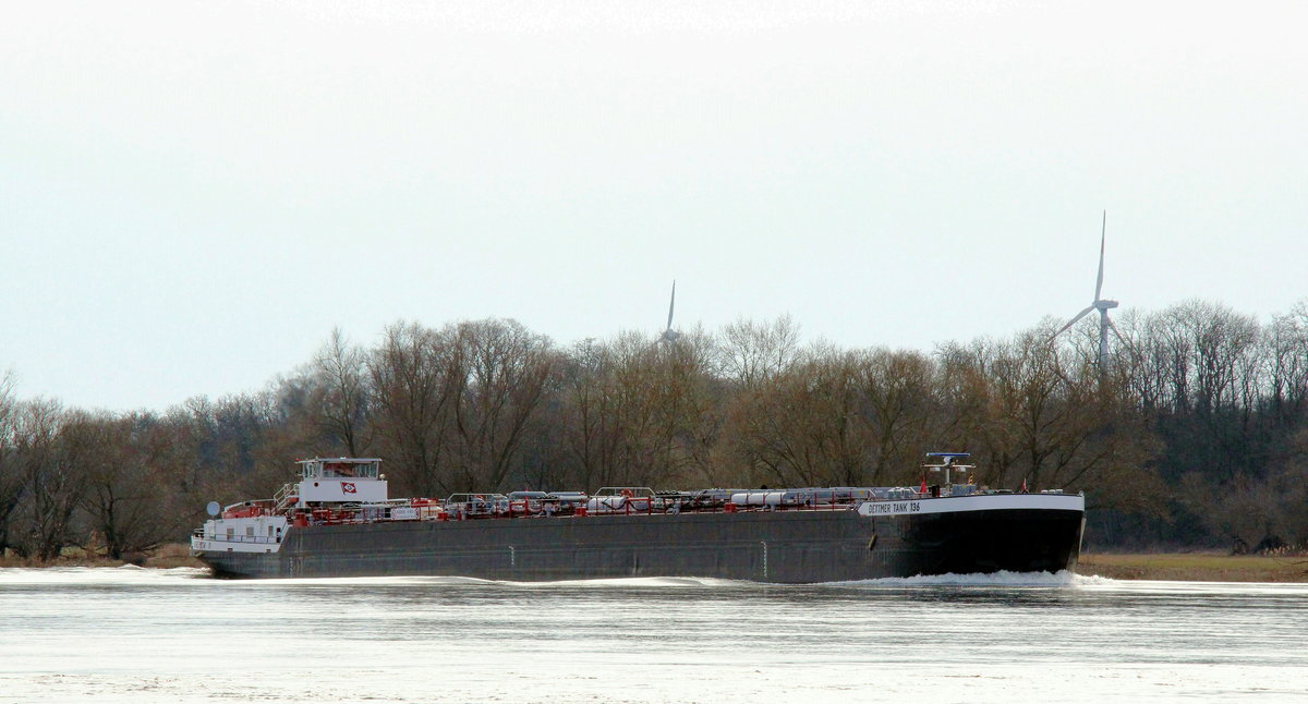 TMS  DETTMER TANK 136  (04009090 , 100 x 9,50m) am 09.03.2021 auf  ELBE - Talfahrt vor Arneburg.