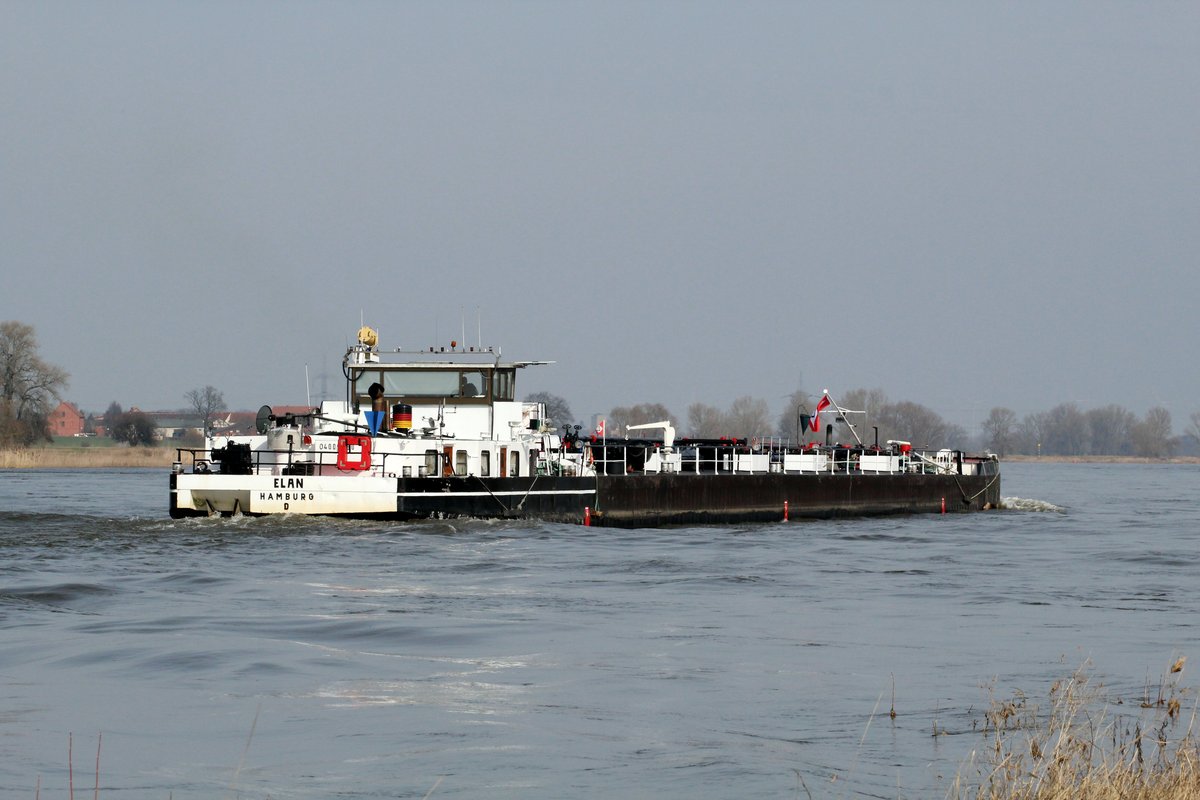 TMS Elan (04005380 , 80 x 9m) am 13.03.2017 auf der Elbe zu Tal Höhe Abzweig Niegripper Verbindungskanal.