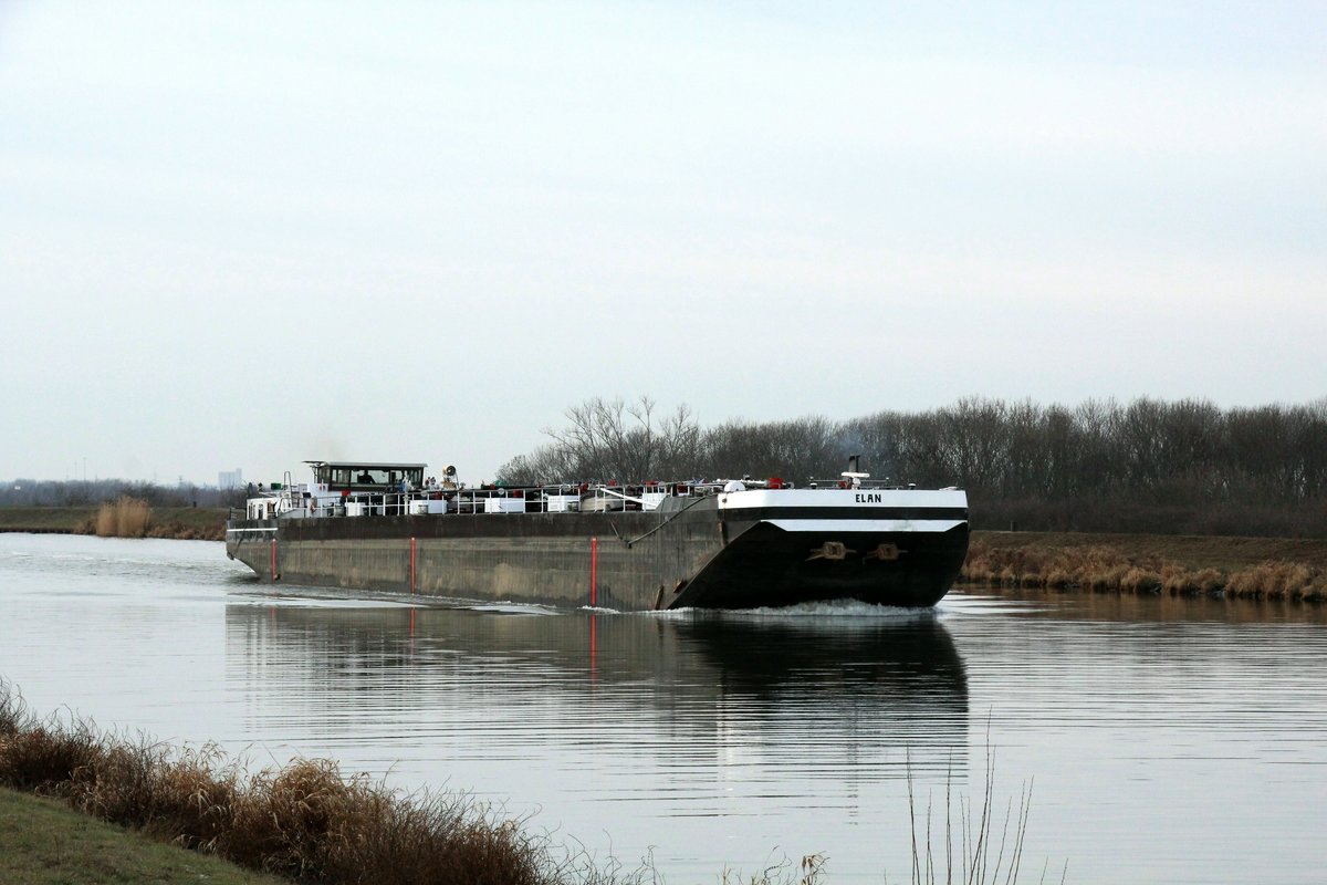 TMS Elan (04005380 , 80 x 9m) am 04.02.2019 im Mittellandkanal Höhe Barleber See I zur Schleuse Rothensee in Fahrt.