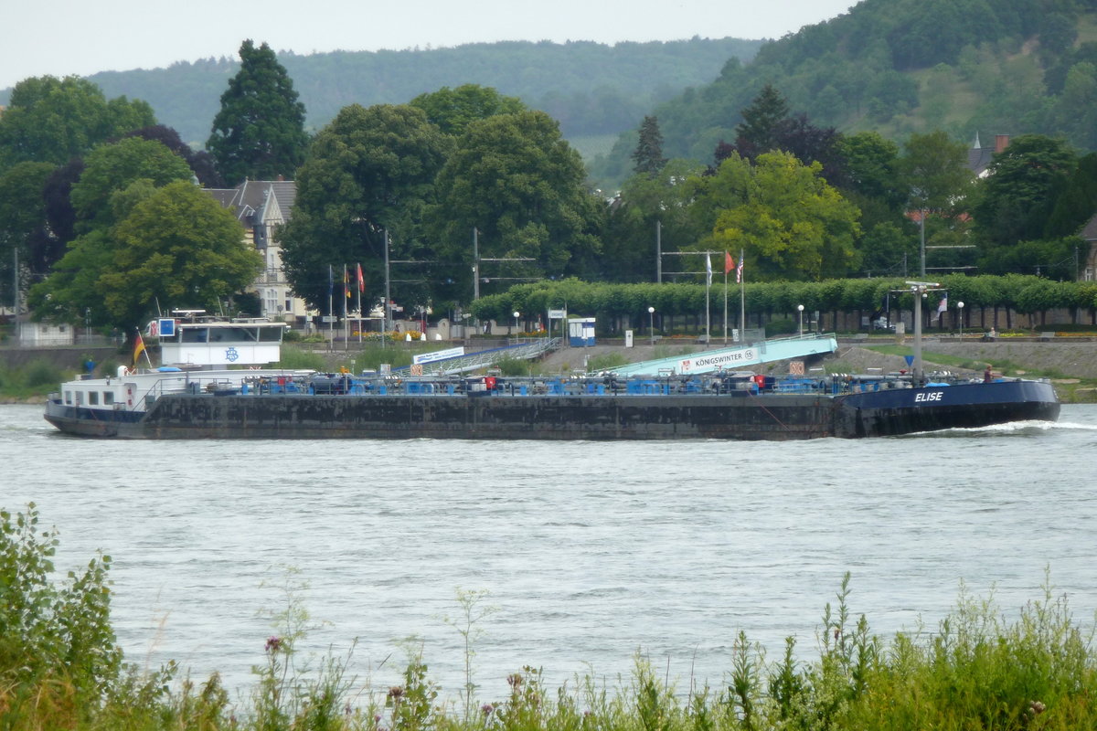 TMS ELISE (Bj. 2004, Bauwerft: JSC Volgograd Shipbuilding Plant, ENI 04803) auf Bergfahrt  bei Königswinter am 22.06.2020.