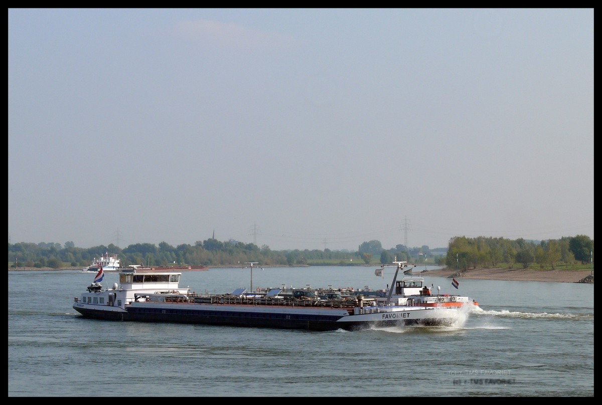 TMS  Favoriet  von Zwijndrecht,im Herbst 2013 auf dem Rhein kurz vor der hollndischen Grenze, ENI 02327490, 86 x 11,40Meter, 2158 Tonnen.