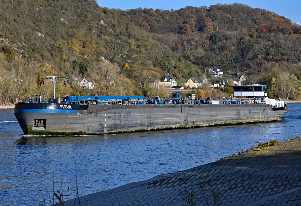 TMS FLEUR auf dem Rhein bei Remagen - 09.11.2021