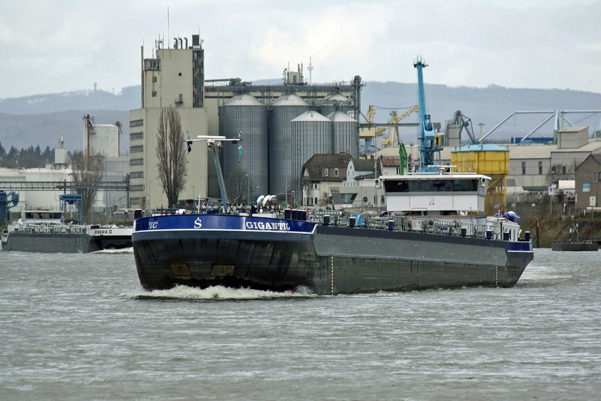 TMS GIGANTIC (ENI:04808590) L.110 m B.11,45 m T.2664 Flagge Deutschland auf dem Rhein am 05.01.2023 zu Tal in Andernach.