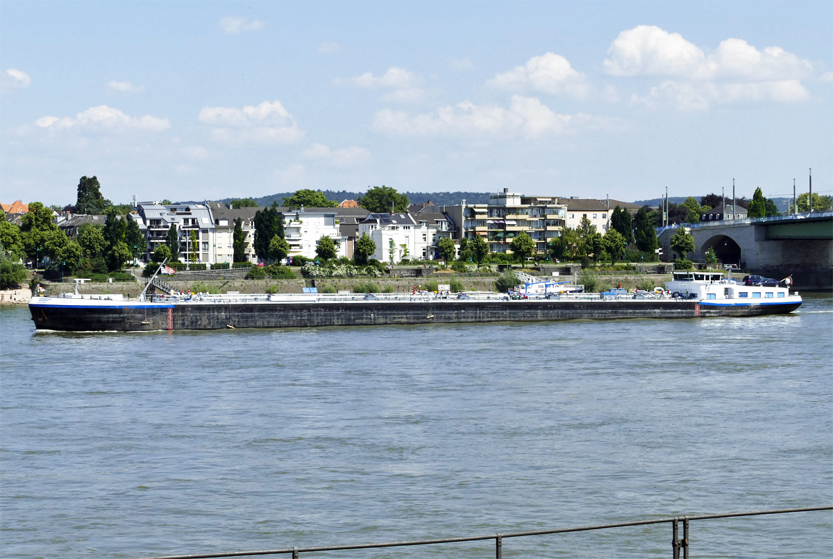 TMS Gilla auf dem Rhein bei Bonn - 06.06.2018