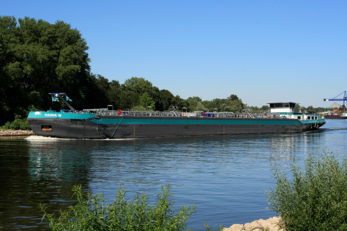 TMS HANNE W (02336172 , 86 x 10,50m) am 10.07.2015 auf dem Main zu Tal kurz vor der Mündung in den Rhein.