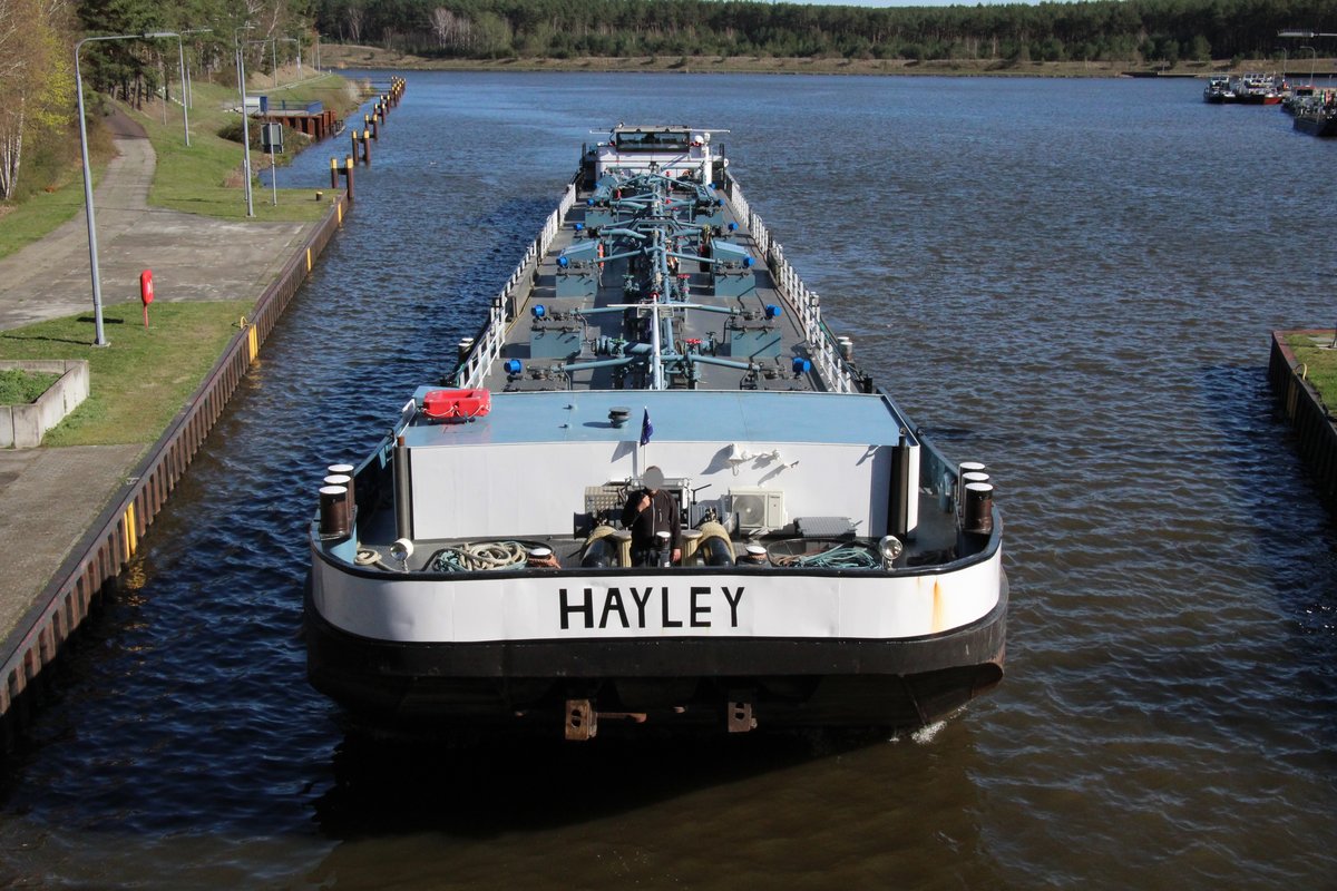 TMS Hayley (04015020 , 85 x 9m) am 01.04.2019 bei der Einfahrt zur Talschleusung in der Schleuse Niegripp.