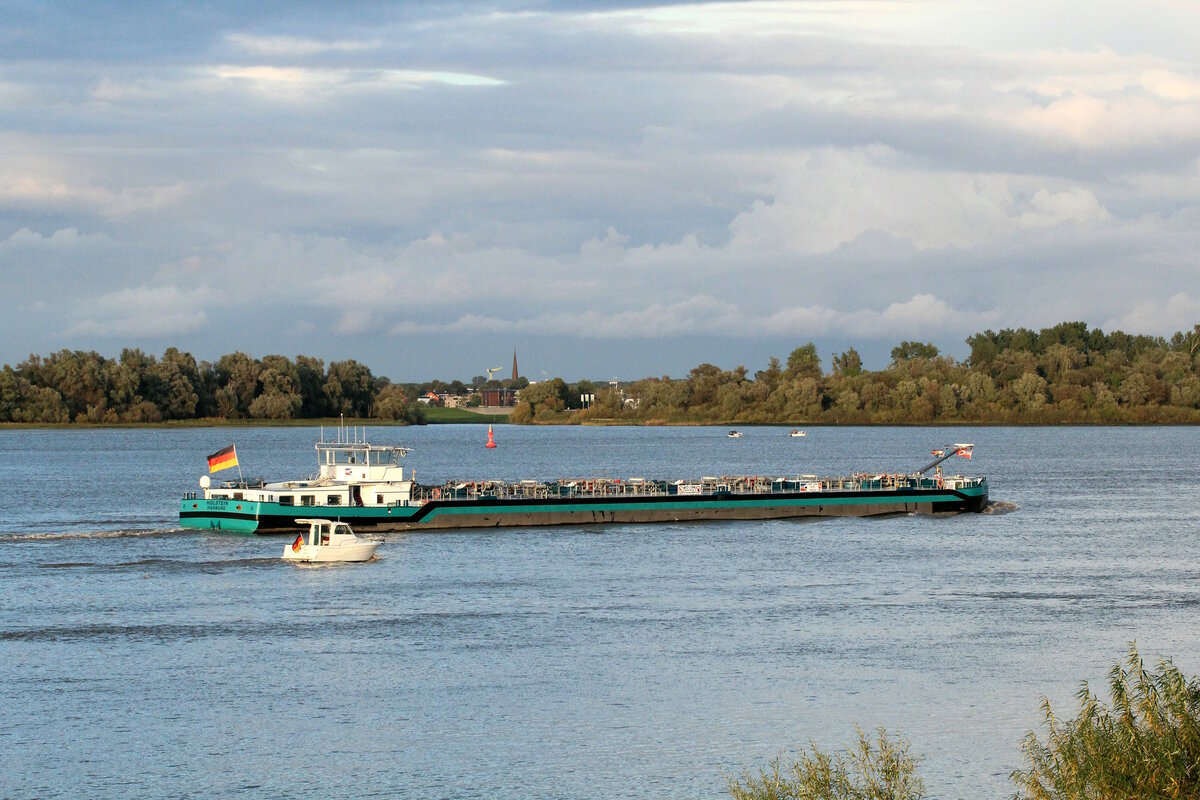 TMS  HOLSTEIN  (04813810 , 86 x 9,60m)  befuhr am 23.09.2023 die  ELBE  Höhe Lühe zu Berg.