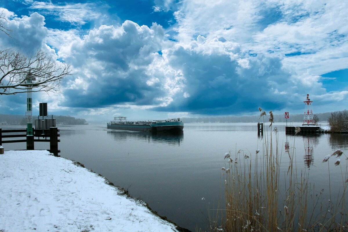 TMS  HOLSTEIN  (04813810 , 86 x 9,60m) am 13.02.2025 auf der  HAVEL  /  Untere-Havel-Wasserstrasse km 4,0 vor dem Pichelsdorfer Gemünd auf Bergfahrt.