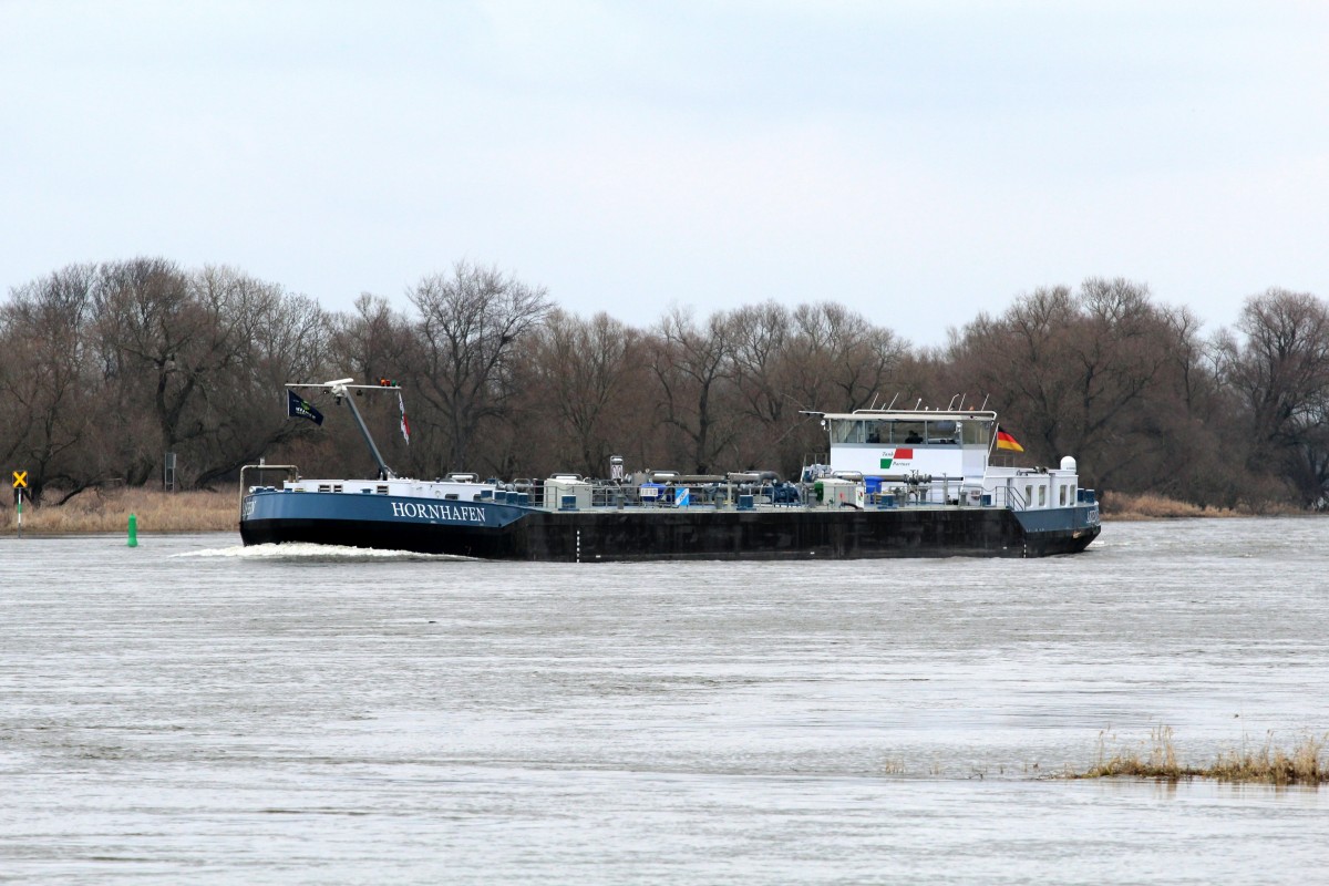 TMS Hornhafen (02329810 , 86 x 9,60m) am 11.03.2016 bei Rogätz auf Elbe-Bergfahrt. Das beladene Binnenschiffe die Elbe in diesem Bereich zu Berg fahren können ist höchst selten - nur bei ausreichendem Wasserstand.