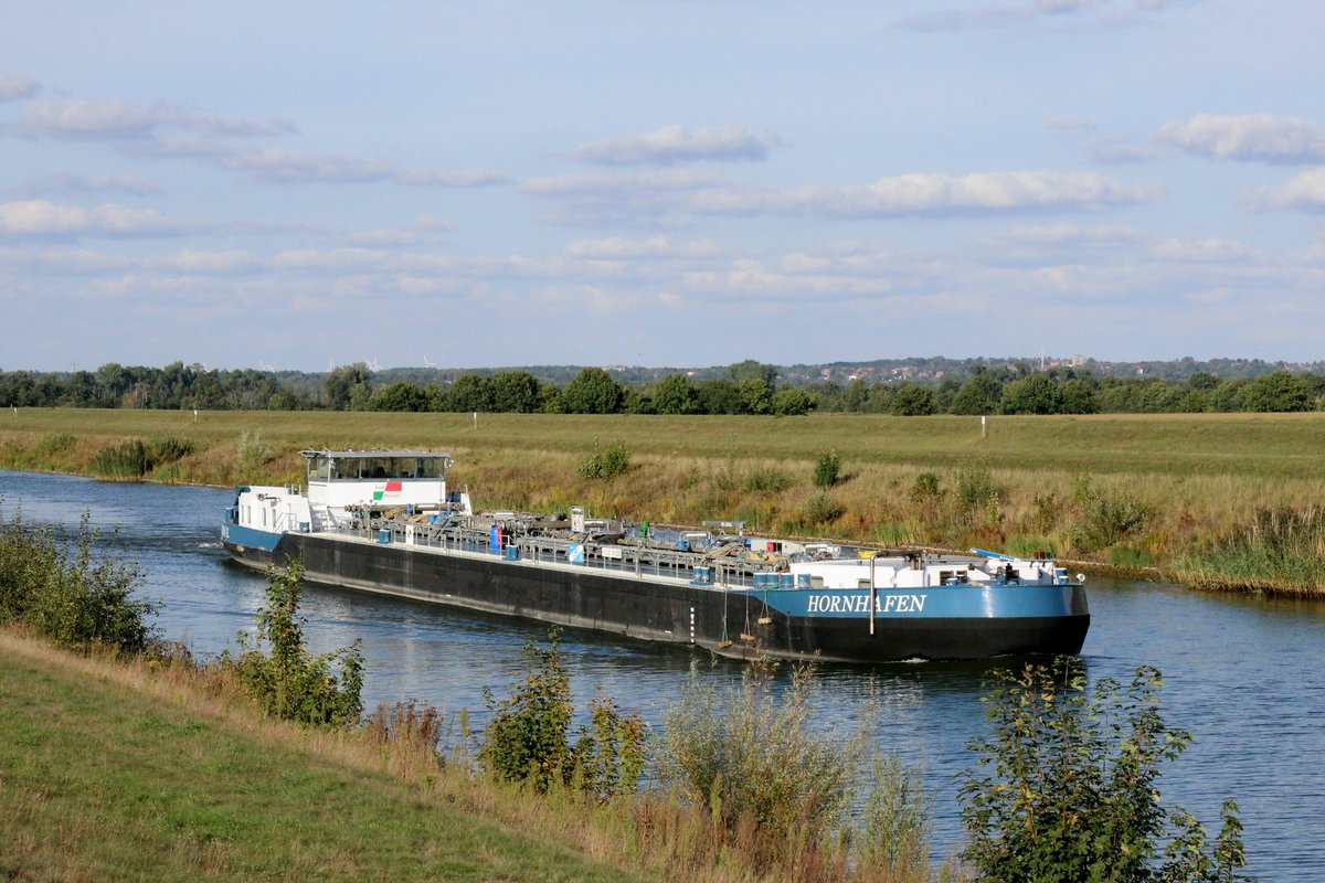 TMS HORNHAFEN (02329810 , 86 x 9,60m) am 25.09.2020 im ELBE-SEITENKANAL Höhe km 109 auf Bergfahrt. Am Horizont sind (über dem Bug) Teile von Lauenburg/Elbe zu sehen.