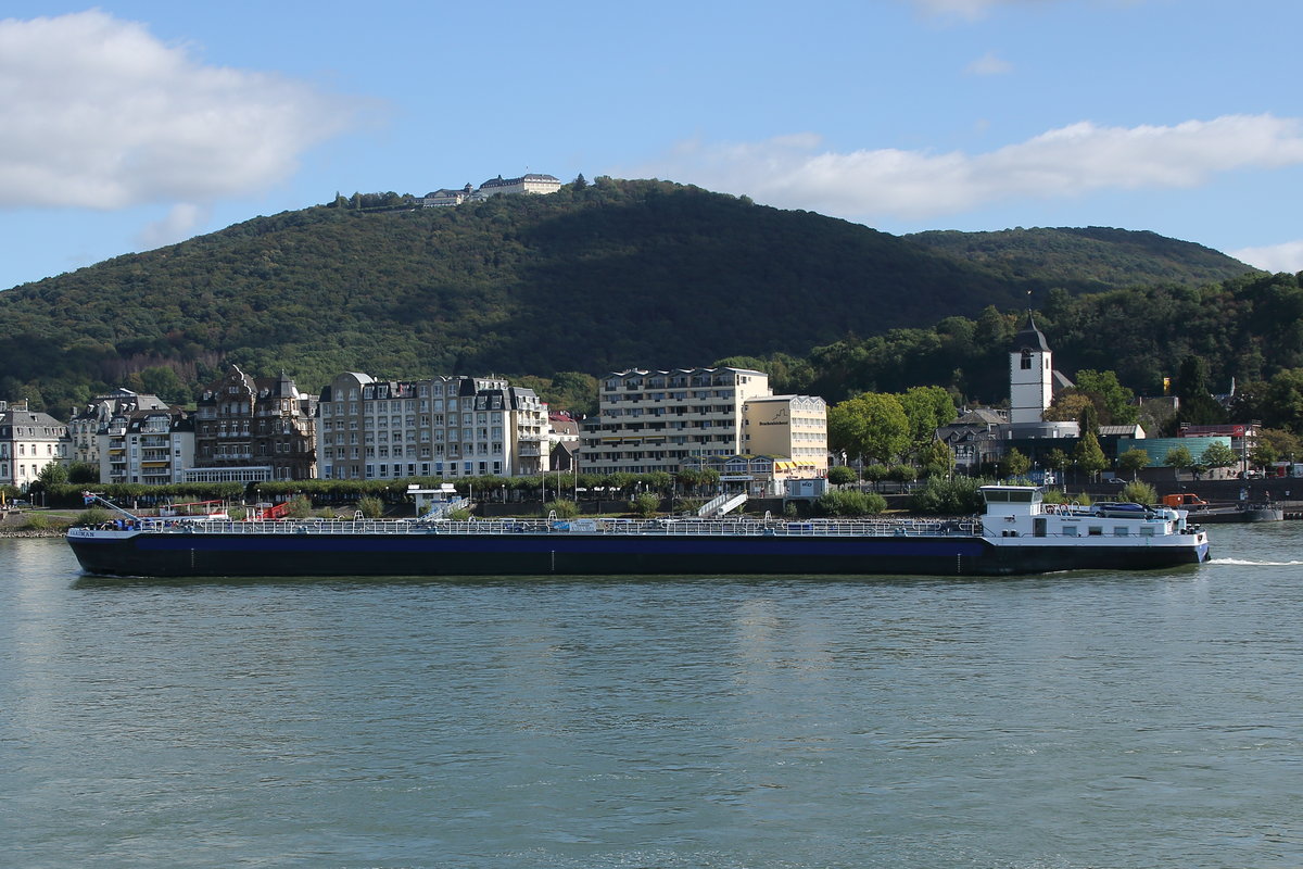 TMS KAAIMAN, ENI 04810580, Kleinmachnow/DE. Auf dem Rhein bei Königswinter am 10.09.2020.