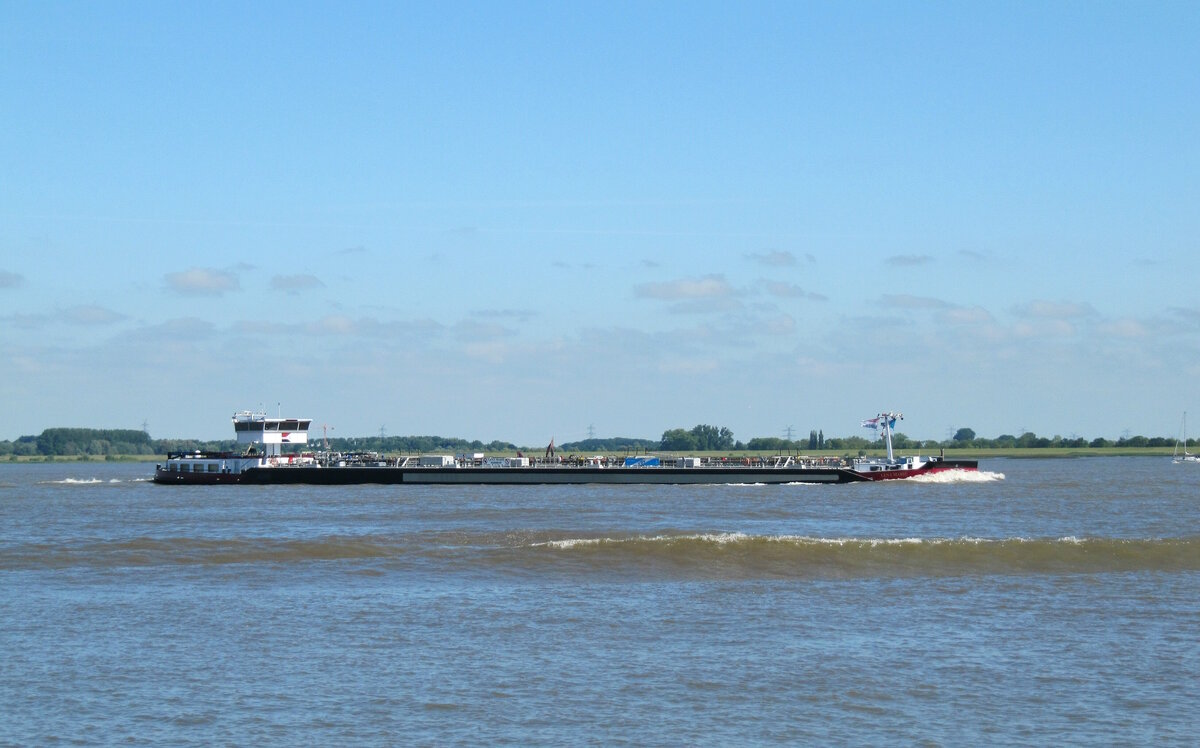 TMS  LENA MARIE  (04806240 , 100 x 11,4m) am 10.06.2023 auf der  ELBE  Höhe Lühe zu Berg Richtung Hafen Hamburg.