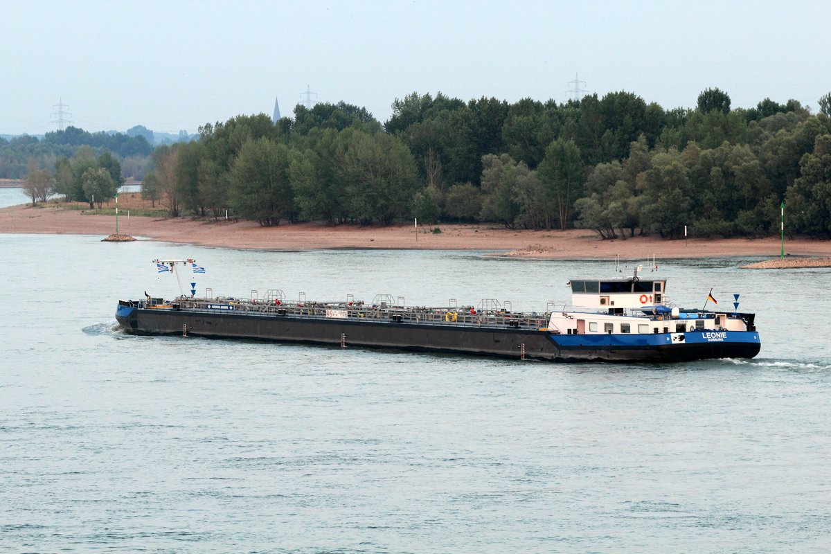 TMS Leonie (02336498 , 110 x 11,45m) am 05.07.2017 auf dem Rhein Höhe km 837 zu Berg.