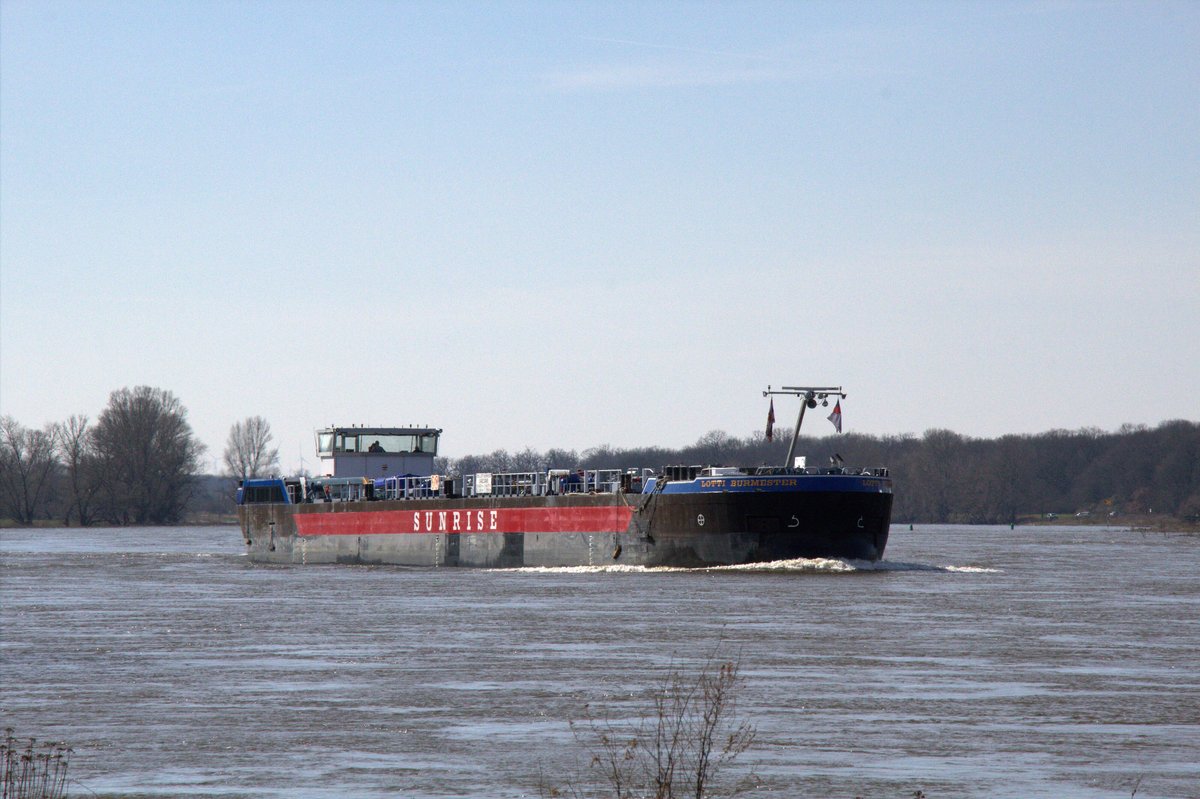 TMS Lotti Burmester (04812480 , 84,97 x 9,60m) am 18.03.2020 auf Elbe-Talfahrt zw. Glindenberg und Niegripp am km 343.