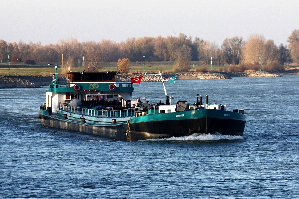 TMS Magnolia Europa Nr.:04800310 am 17.11.2018 auf dem Rhein bei Xanten.