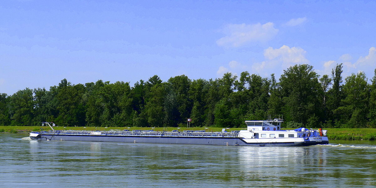 TMS Marie, rheinaufwärts vor Breisach, Heckansicht, Juni 2024